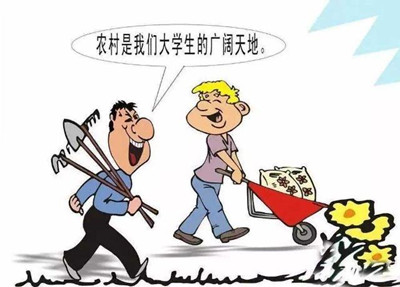 考公、考研難度高，應(yīng)屆生你還有4種選擇