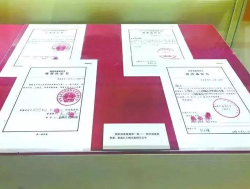 公務(wù)員聯(lián)考申論積累：2018年度十大反腐熱詞！
