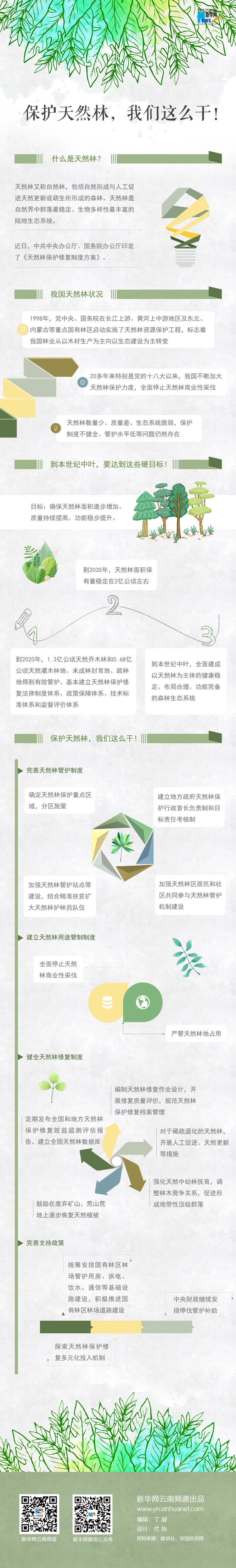 2020年國家公務員考試時政：保護天然林，我們這么干！